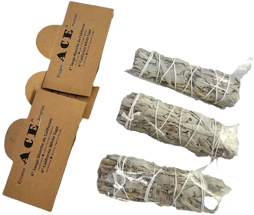 4" California White Sage(Only One)