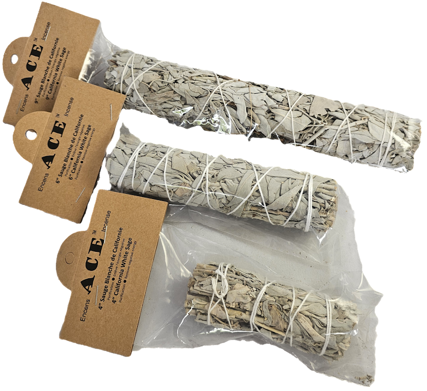 4" California White Sage(Only One)