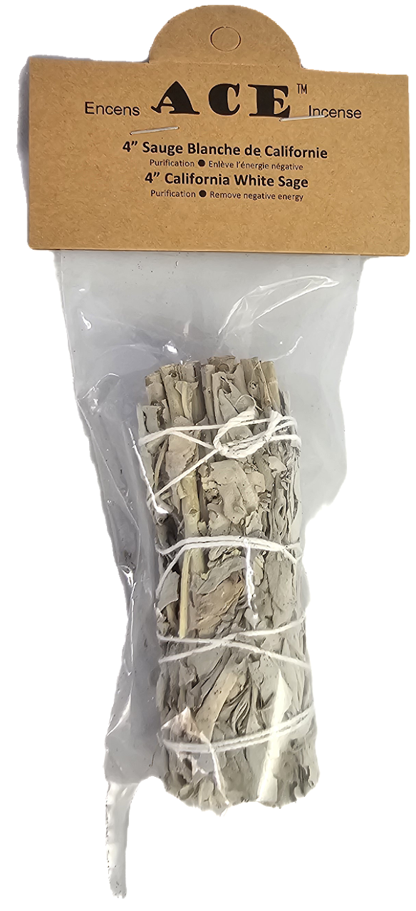 4" California White Sage(Only One)