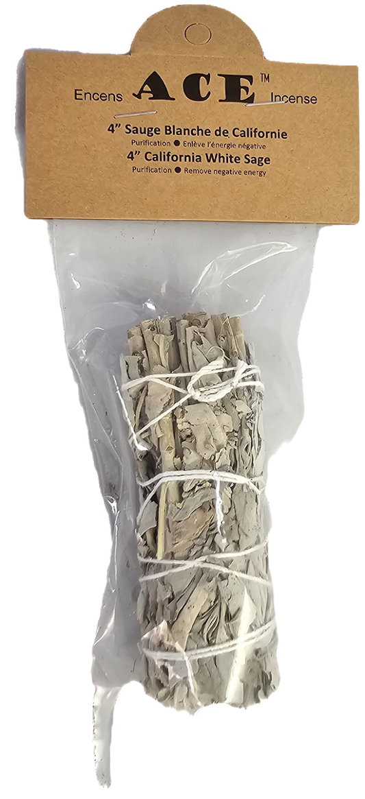 4" California White Sage(Only One)