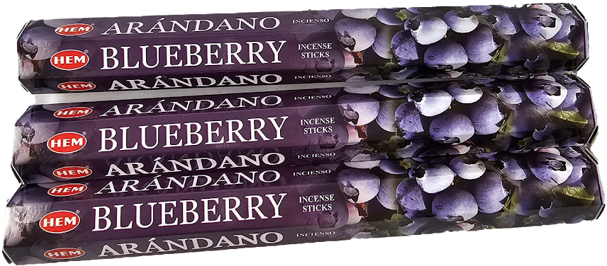 HEM BLUEBERRY INCENSE STICKS